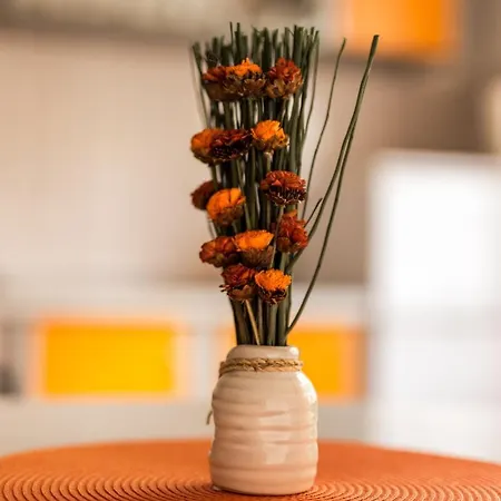 Apartman Magi Zára