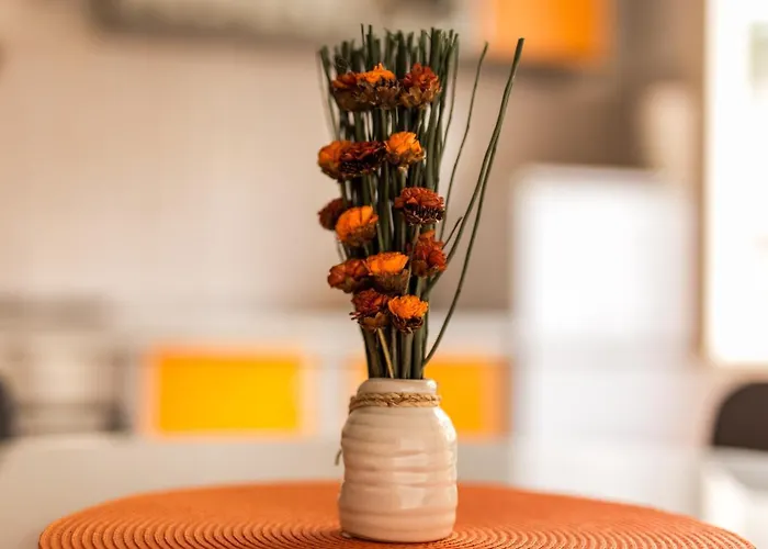 公寓 Magi 扎达尔